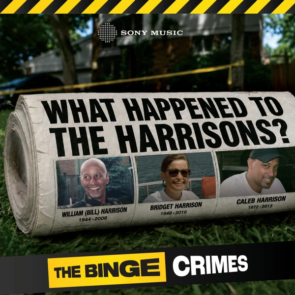 The Binge Crimes: Fatal Fantasy