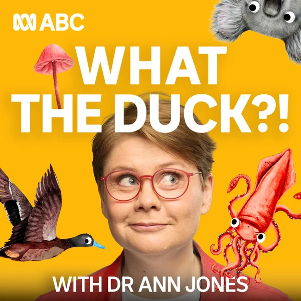 What The Duck?!