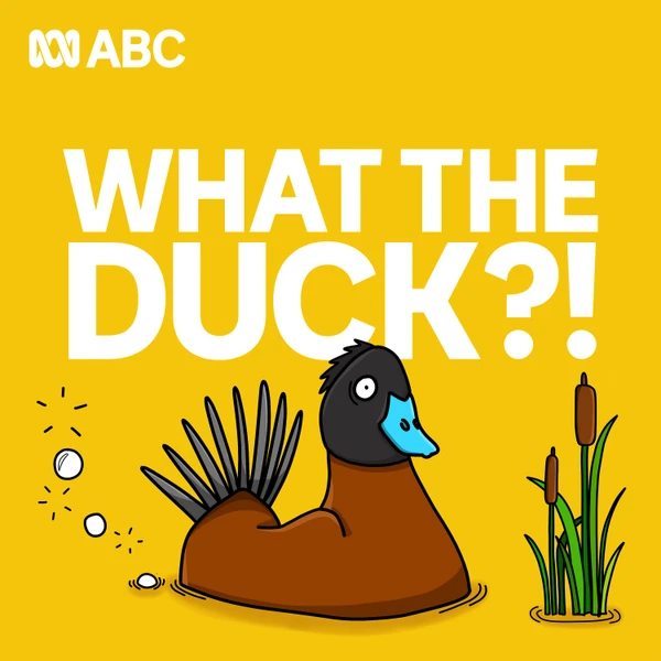 What The Duck?!